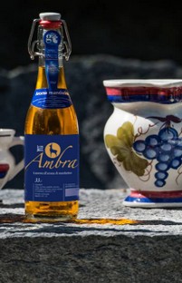 ambrainsta2.jpg